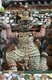 Thailand: Guardian figure or Yaksa on the Khmer-style central prang at Wat Arun (Temple of Dawn), Bangkok